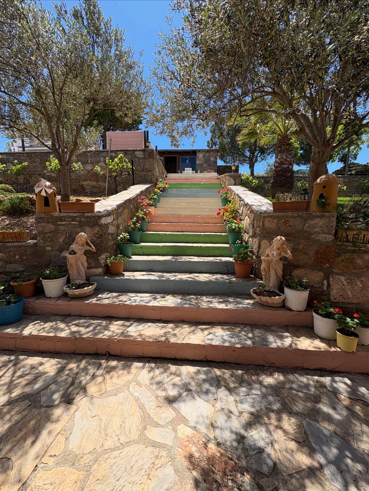 Lefkofris-Otel-Bozcaada-bahce (3)